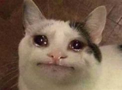 Image result for Crying Cat Meme Coffee