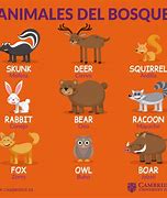 Image result for Los Animales En Español