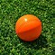 Image result for Small Cricket Ball