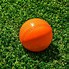 Image result for Display Box of a Cricket Ball