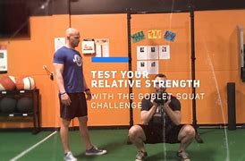 Image result for 100 Day Squat Challenge