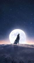Image result for Aesthetic Wolf Pictures