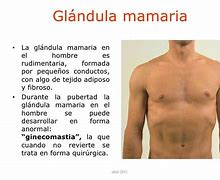 Image result for agrandamuento