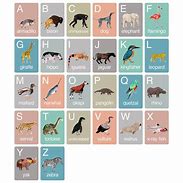 Image result for Animals ABC Flash Cards