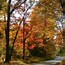 Image result for Pennsylvania Fall Scenery