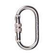 Image result for Stainless Steel Carabiner with Screw Lock