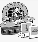 Image result for History Memory Learning Cartoon