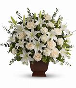 Image result for Sumpagthy Flowers On White Background