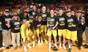 Image result for Seattle Storm Team