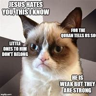 Image result for Grumpy Cat Meme Jesus