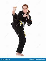 Image result for Martial Arts Front Kick