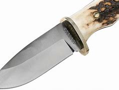 Image result for Stag Handle Fixed Blade Hunting Knives