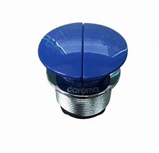 Image result for Replacement for Enclosed Cistern Dual Flush Button