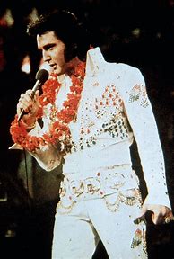 Image result for Elvis Presley Style