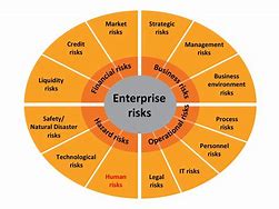 Image result for Business Risk Types