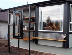 Image result for Cat Outdoor Bar