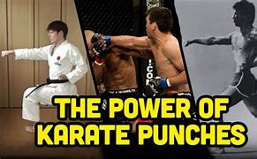 Image result for Karate Puches
