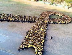 Image result for Sewol Ferry Ribbon