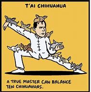 Image result for Tai Chi Meme