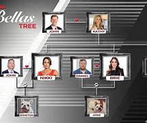Image result for John Cena Family Tree