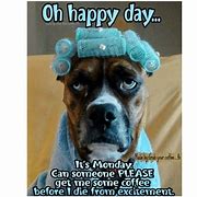 Image result for OH Happy Day Sarcastic Meme