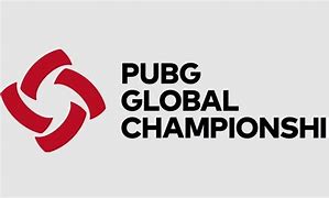 Image result for Pubg PGC