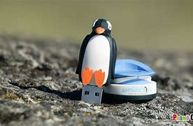 Image result for Animal Shaped USB Drives