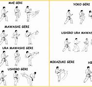 Image result for Karate Moves Kicks