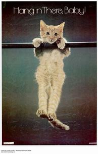 Image result for Hang in There Poster 70s