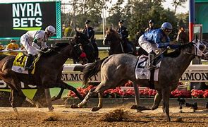 Image result for Belmont Stakes Past Performances