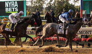 Image result for Belmont Stakes Winner Trophy