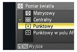 Image result for pomiar_punktowy