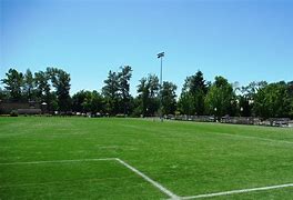 Image result for Professional Soccer Field