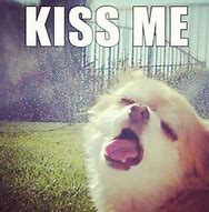 Image result for Besos Meme