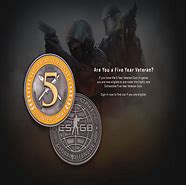 Image result for 5 Year Medal CS:GO