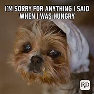 Image result for Animals Memes Dog