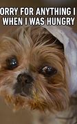 Image result for Funny Sarcastic Animal Memes