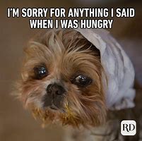 Image result for Cute Funny Memes