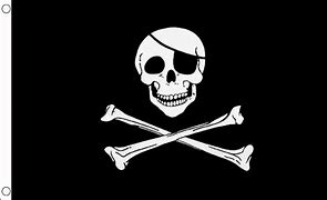 Image result for Skull and Bones Flag