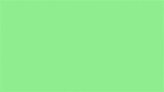 Image result for Light Green Colour