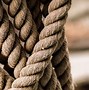 Image result for 14Mm Soft Nylon Rope with Snap Hook and Steel Thimble Eye