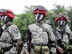 Image result for Taiwan Special Forces 1960s