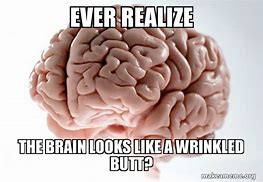 Image result for Wrinkled Brain Meme