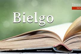 Image result for bielgo
