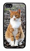 Image result for Phone Cases for iPhone 5S Cat