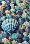 Image result for Mermaid Shell Colors
