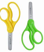 Image result for Smallest Pair of Scissors