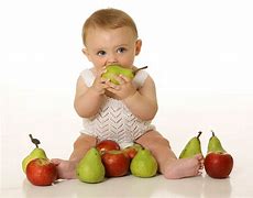 Image result for Baby Fruit Mesh