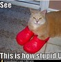 Image result for Funny Red Things