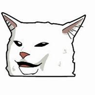 Image result for Grimacing White Cat Meme